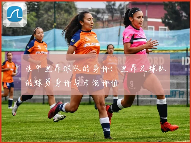 法甲里昂球队的身价：里昂足球队的球员身价与市场价值