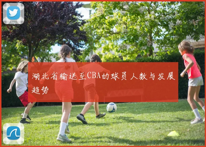 湖北省输送至CBA的球员人数与发展趋势